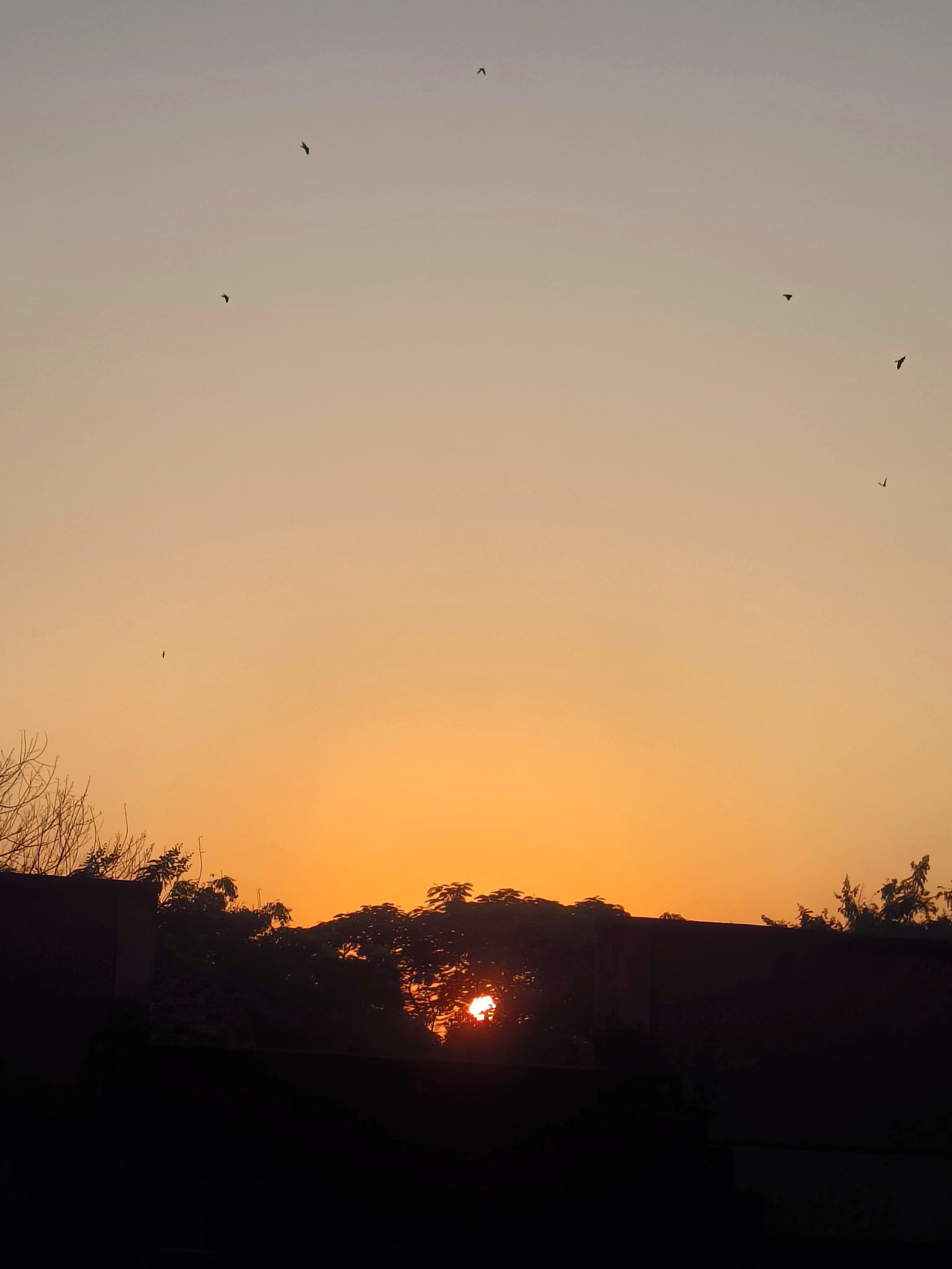 On Sunrise