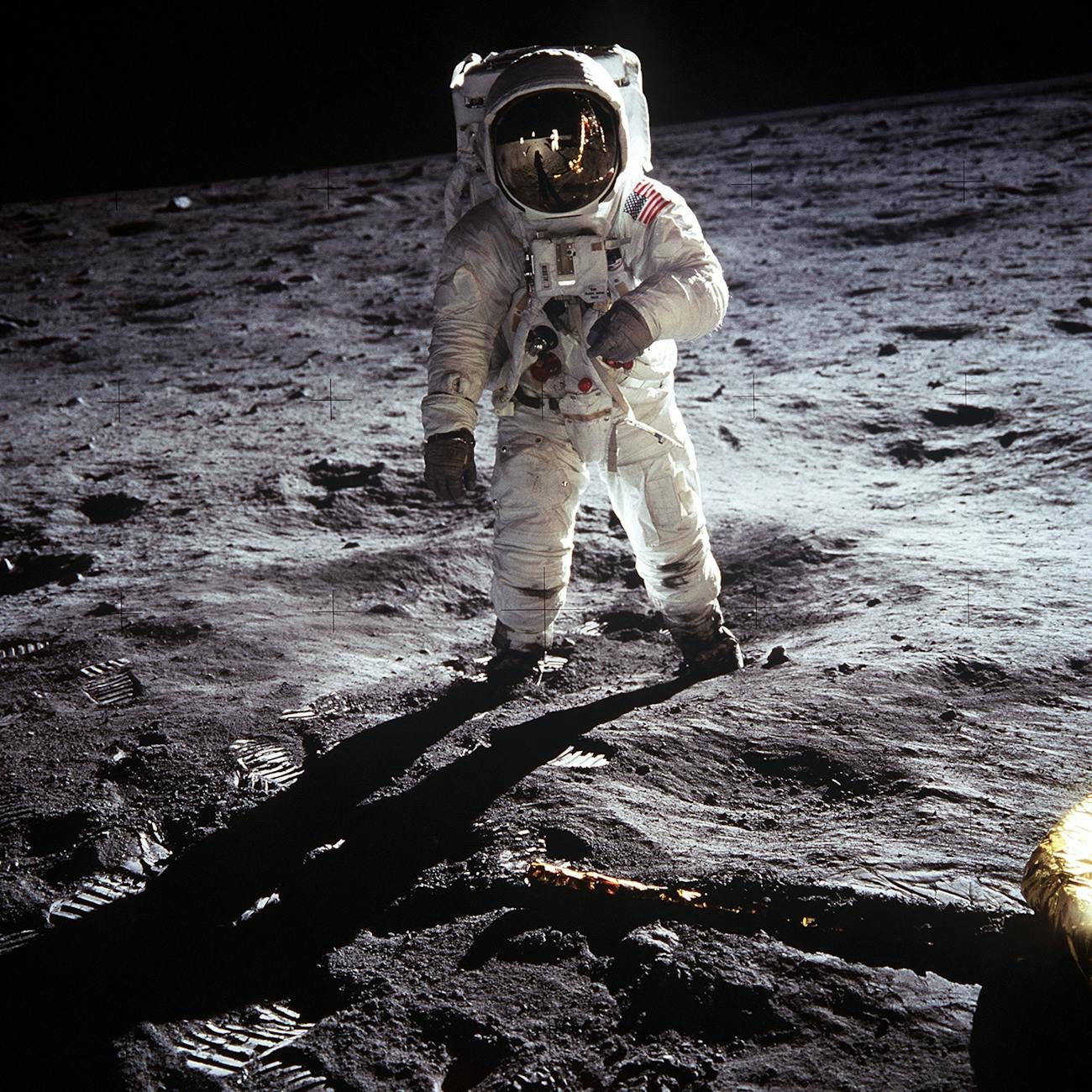 Why would I want to go to the moon?