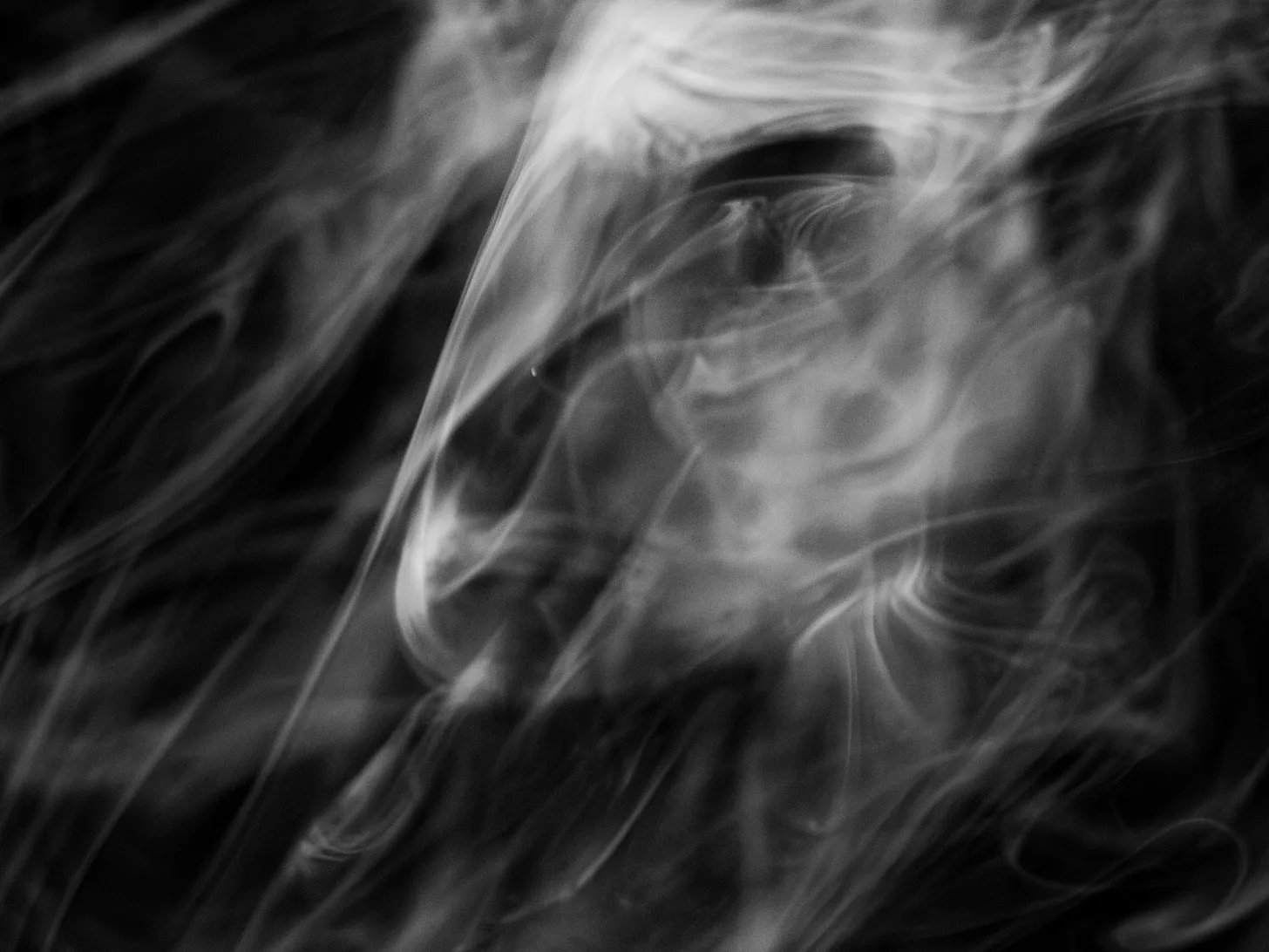 Smoke Photography: Finding Familiar Faces in the Unfamiliar